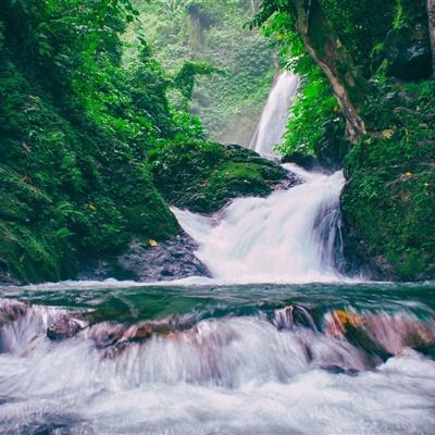 系统之名养成器h